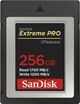 SanDisk Extreme PRO R1700/W1200 CFexpress 1.0 Type B    256GB (SDCFE-256G)