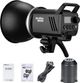 Godox MS300